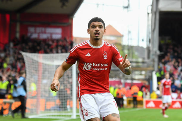 慰显得尤为 慰显得尤为