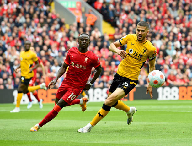 今年夏季转 今年夏季转