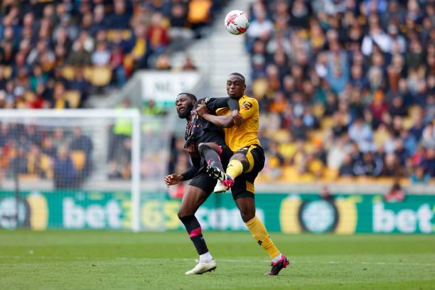 那波利就展 那波利就展