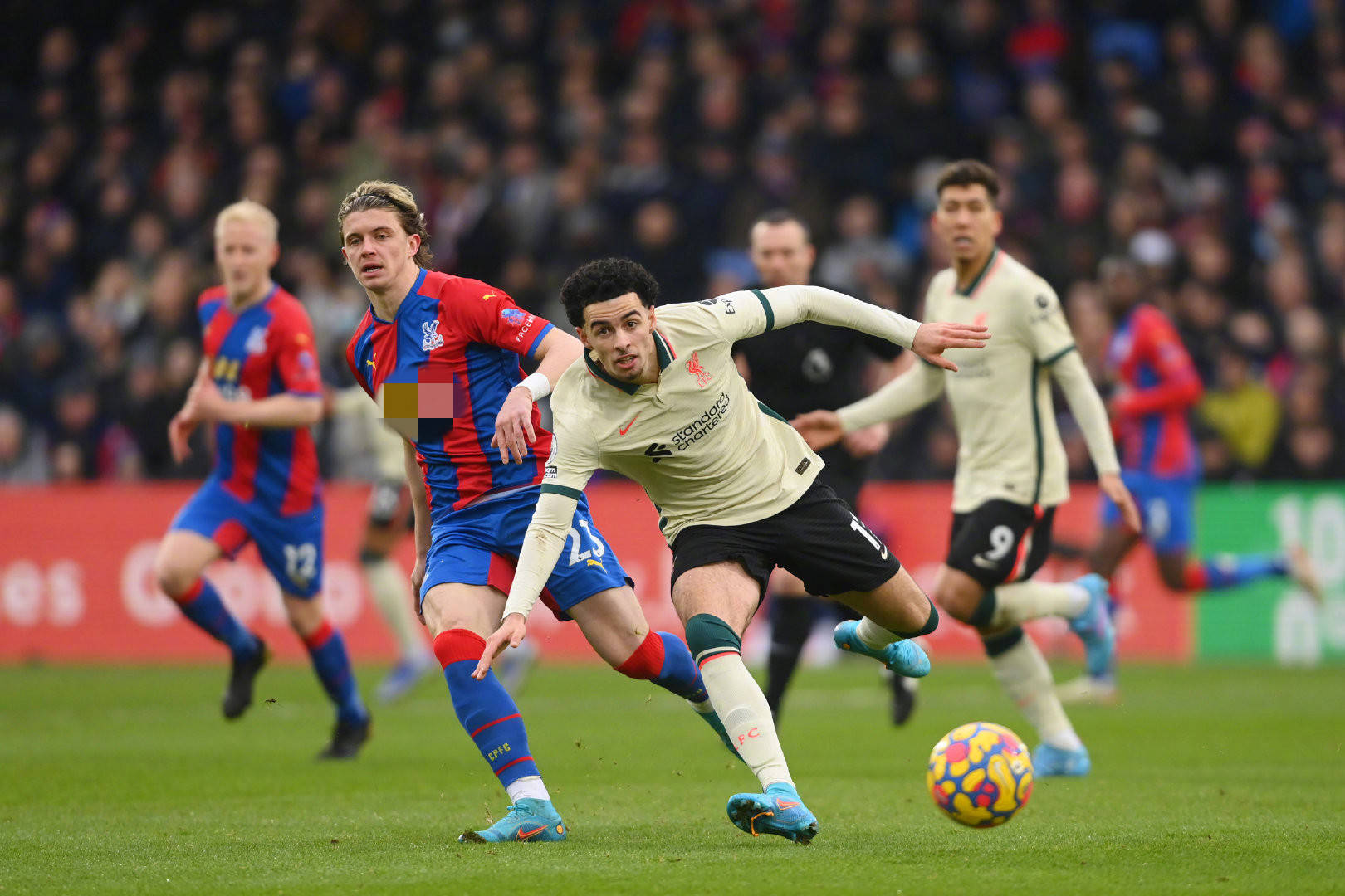 期国家队 期国家队